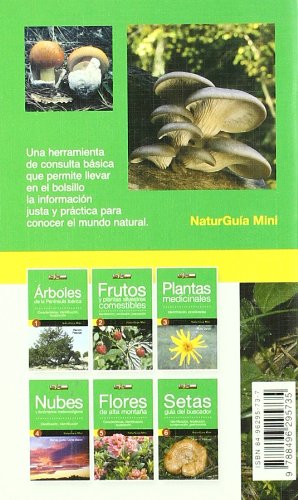 Setas - guia del buscador