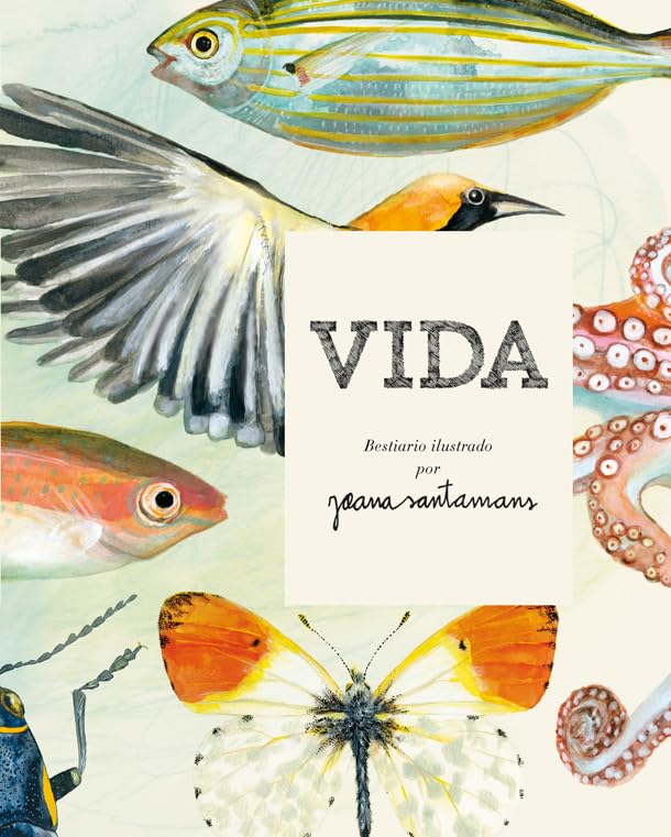 Vida. Bestiario ilustrado por Joana Santamans: 4 (Bridge)