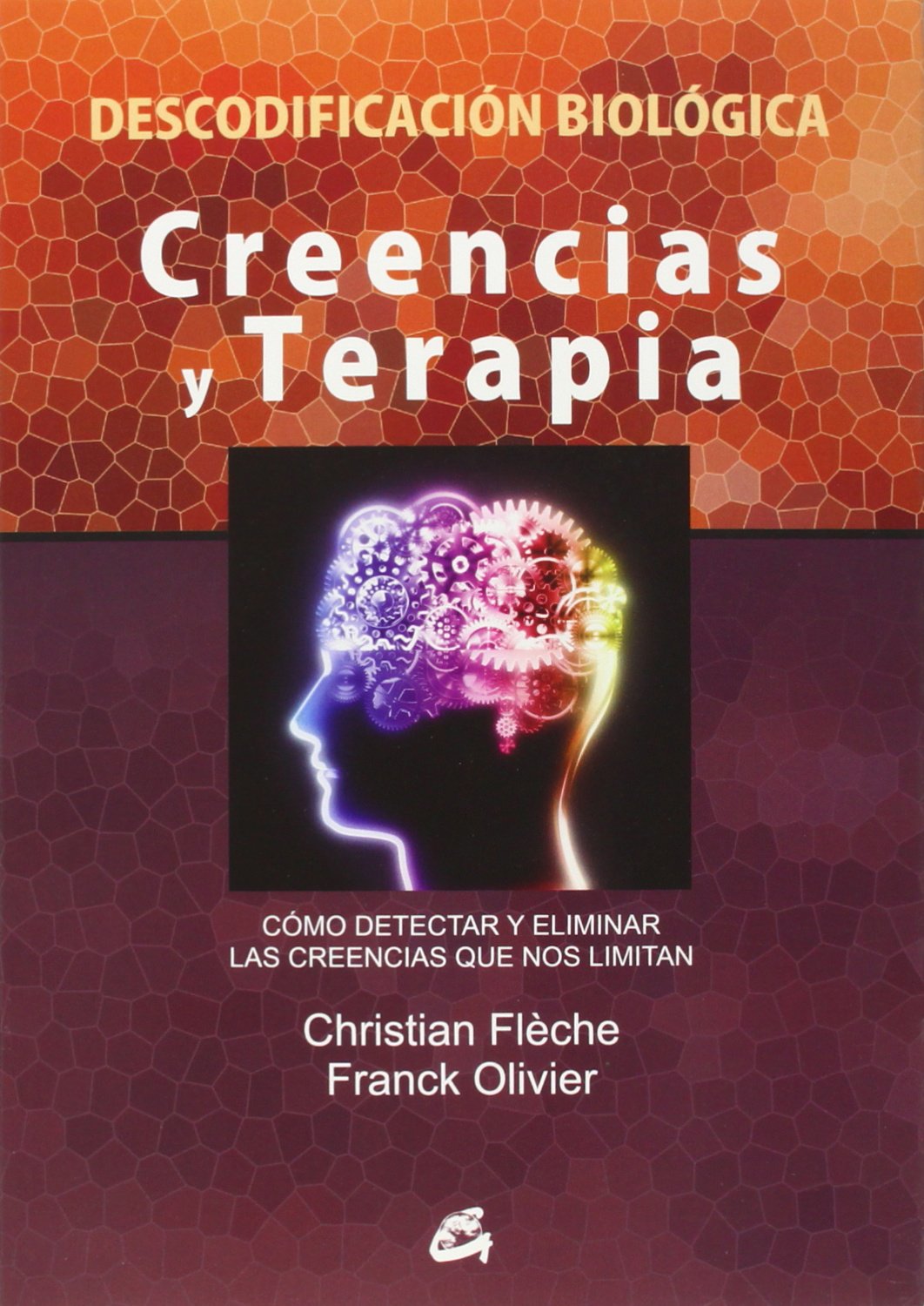 Creencias Y Terapia