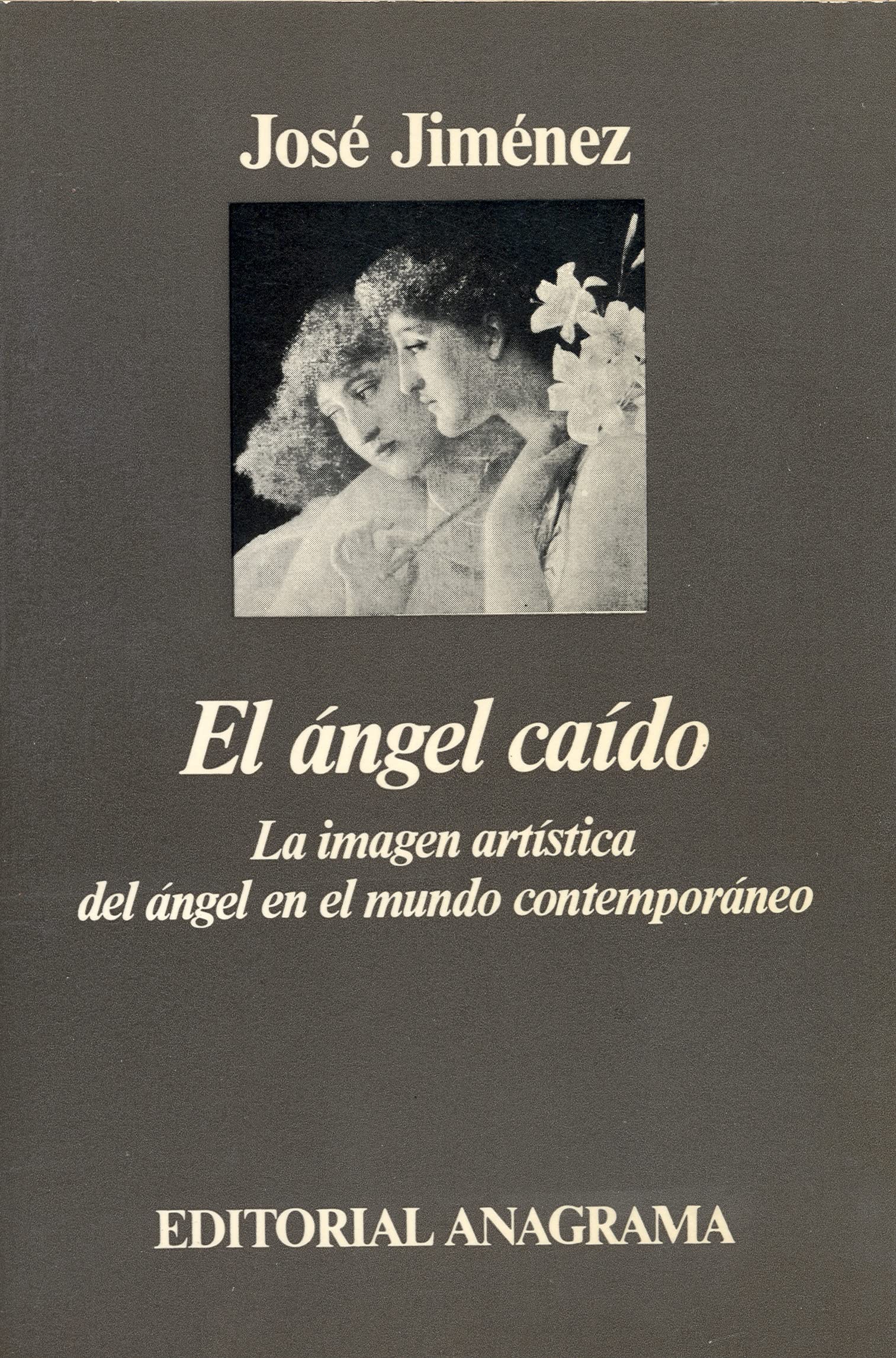 El ángel caído (La imagen artística del ángel en el mundo contemporáneo): La Imagen Artistica del Angel En El Mundo Contemporaneo: 68 (Argumentos)