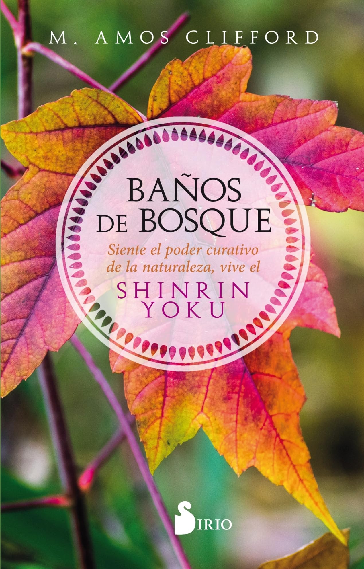 Baños de bosque (NARRATIVA)