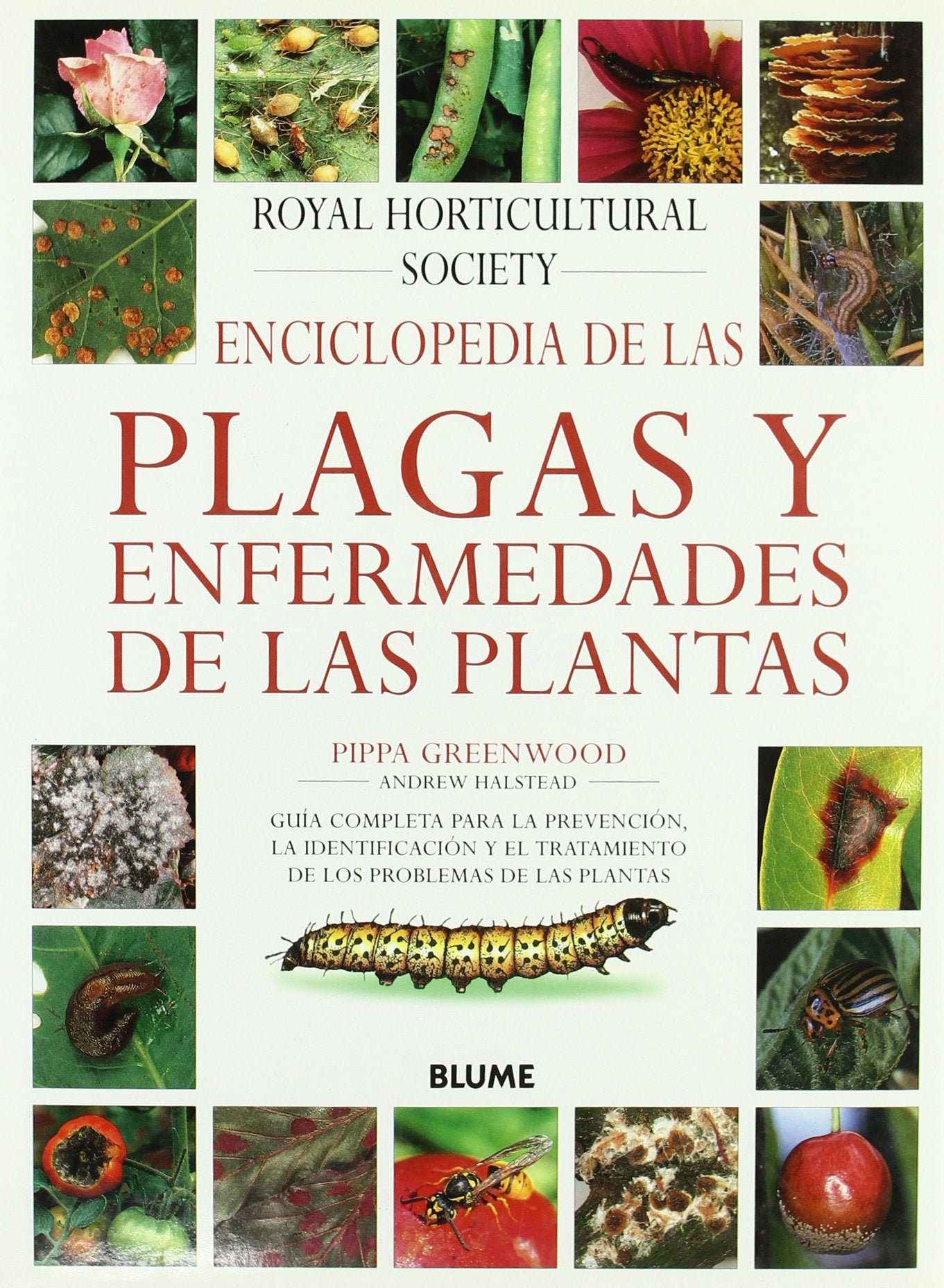 ENCICLOPEDIA PLAGAS Y ENFERMEDADES DE LAS PLANTAS (HORTICULTURA JARDINERIA)