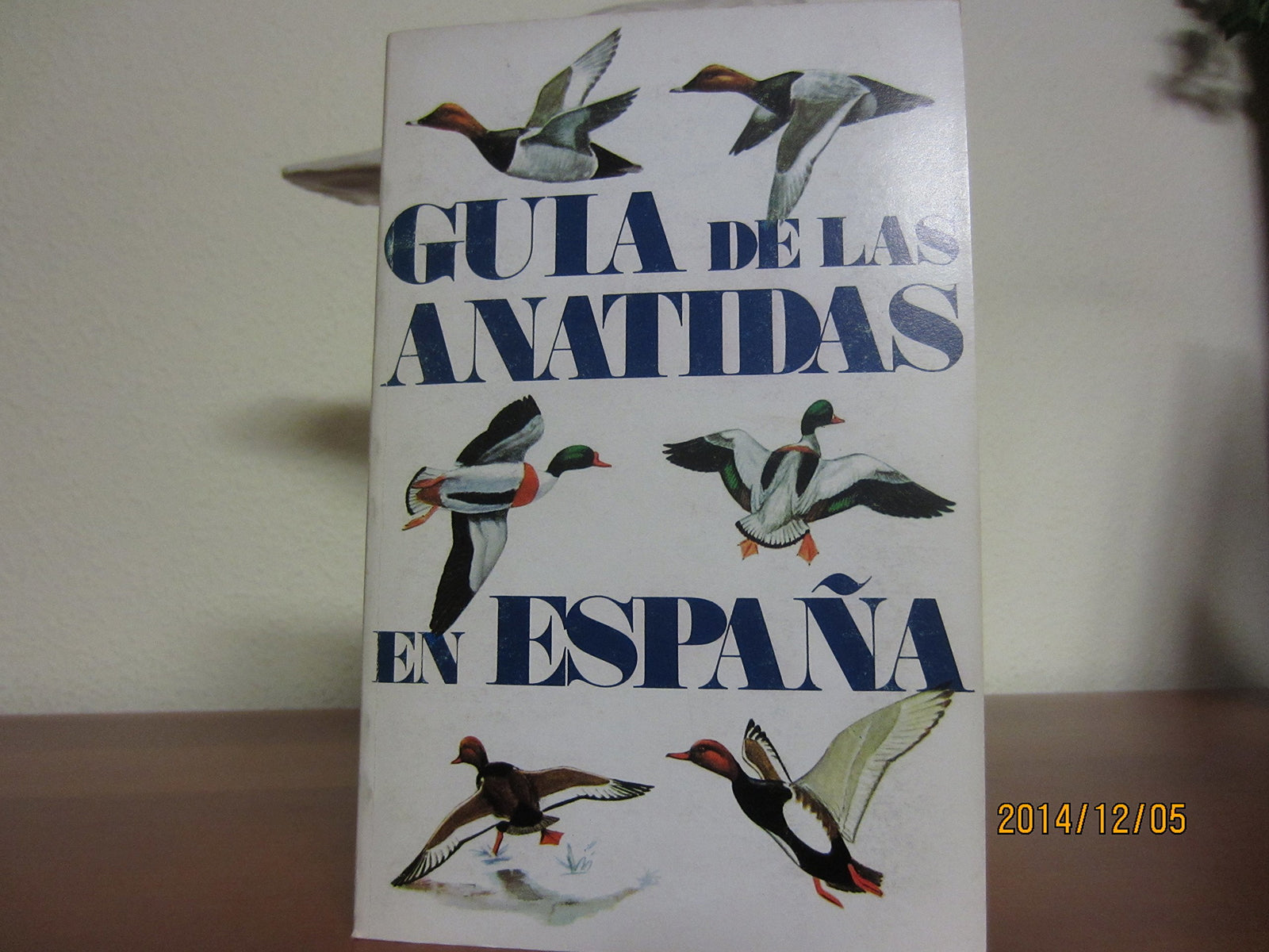 ANATIDAS EN ESPAÑA-CORONADO