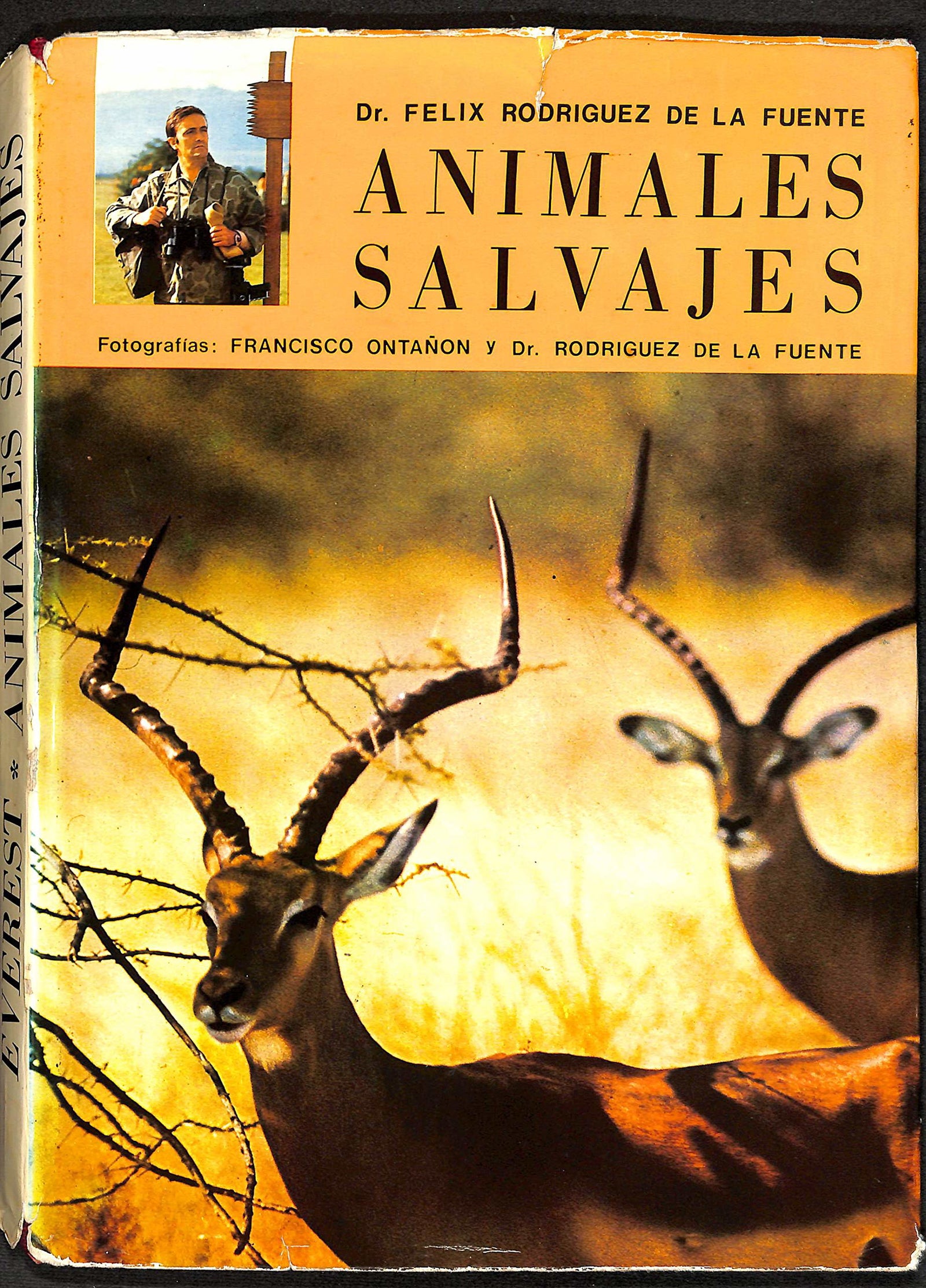 Animales salvajes: De África Oriental