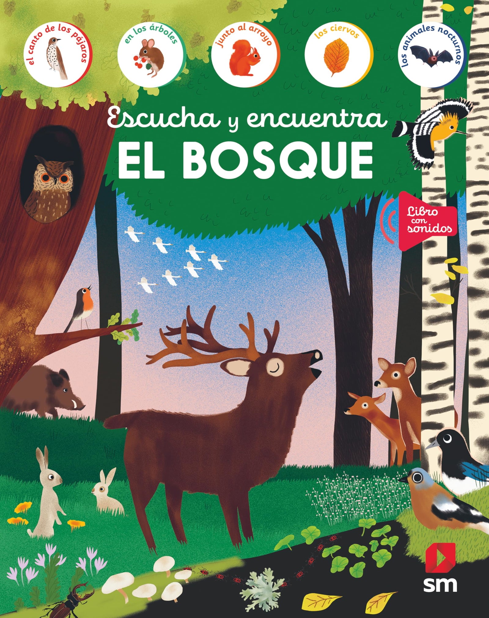El bosque (Escucha y encuentra)