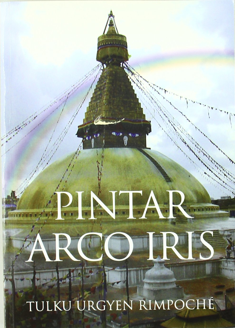 Pintar arco iris : una colección de variados aspectos del desarrollo y consumación (SIN COLECCION)