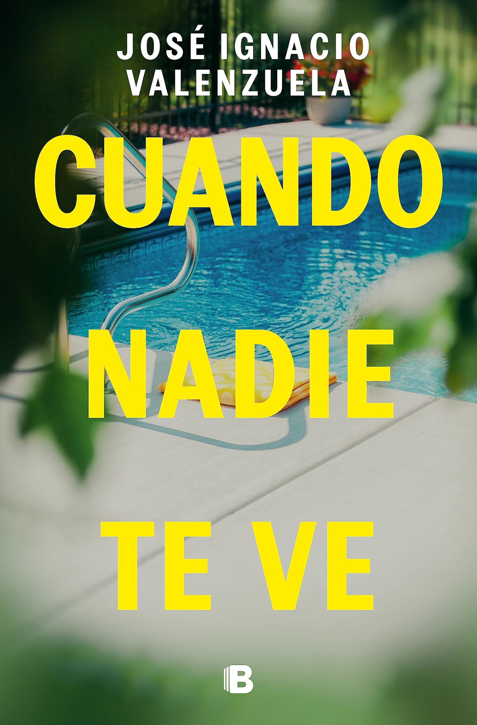 Cuando nadie te ve (La Trama)