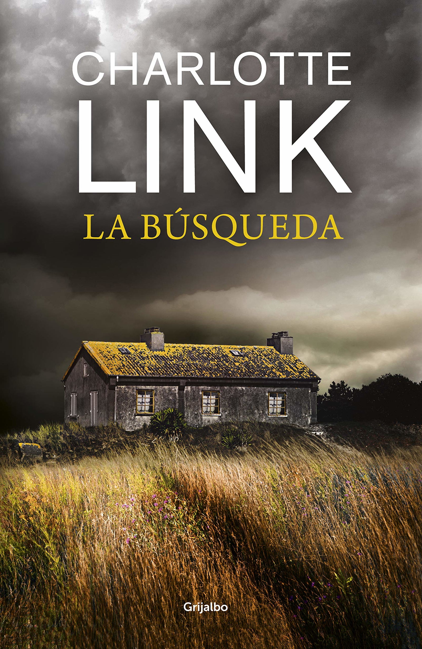 La búsqueda (Novela de intriga)