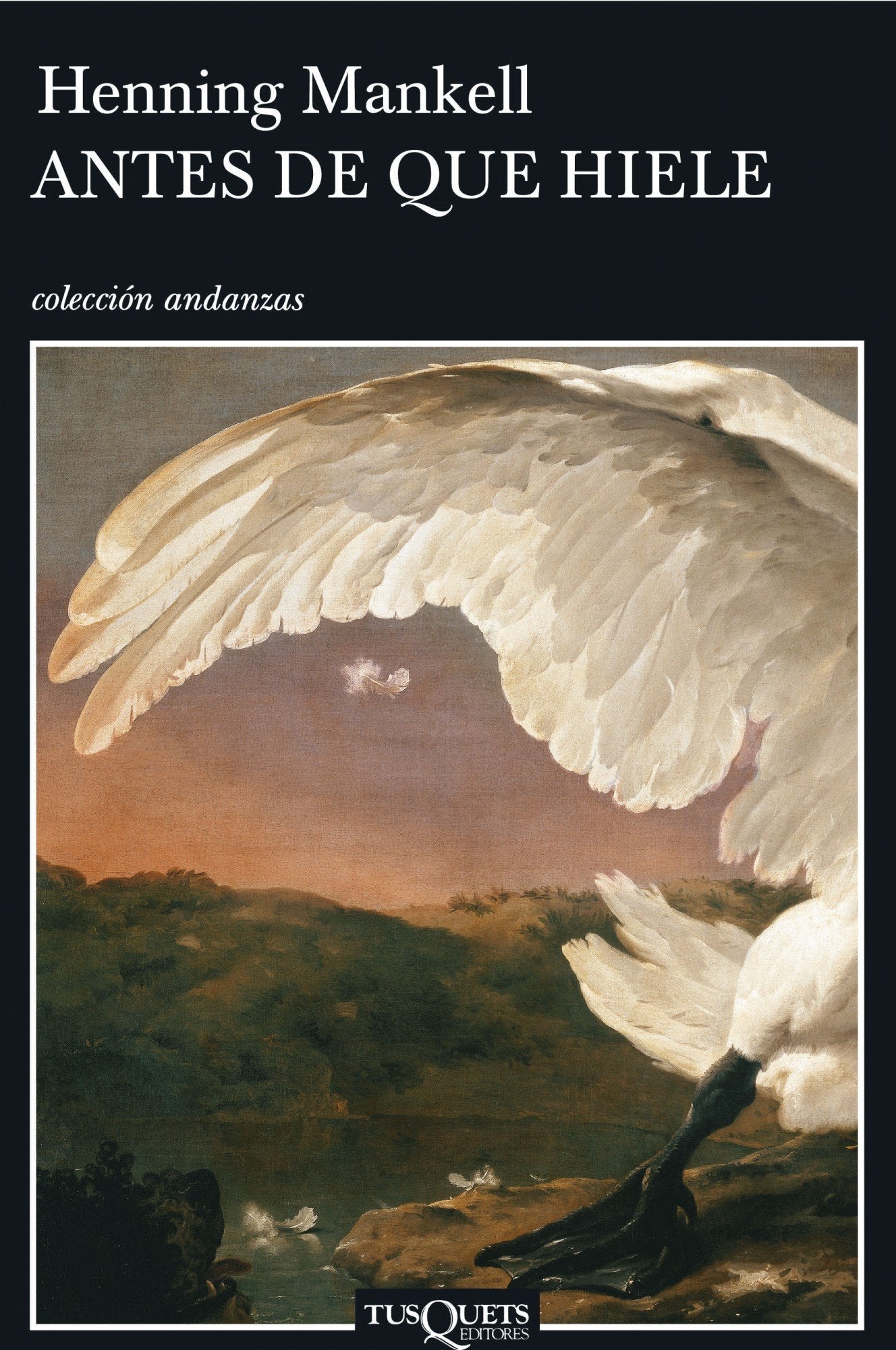 Antes de que hiele: 598 (Andanzas)