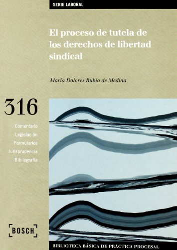 El proceso de tutela de los derechos de libertad sindical