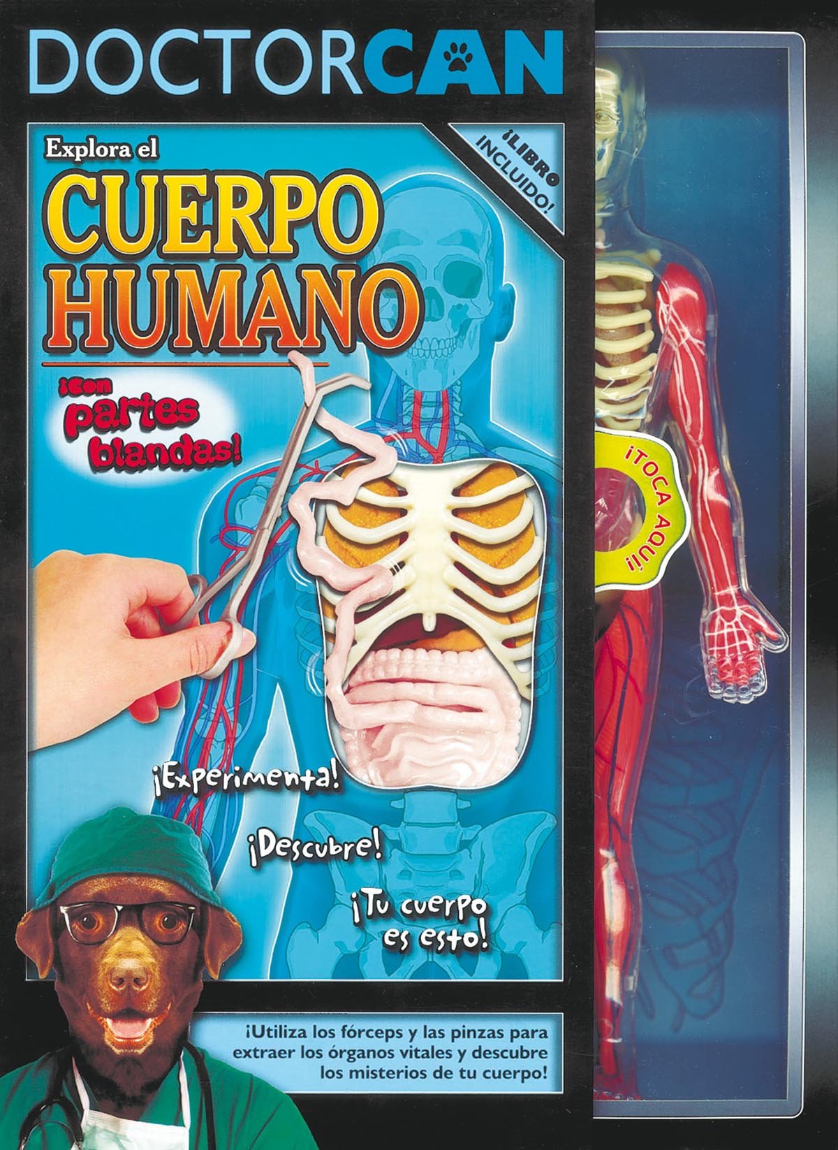 Explora El Cuerpo Humano