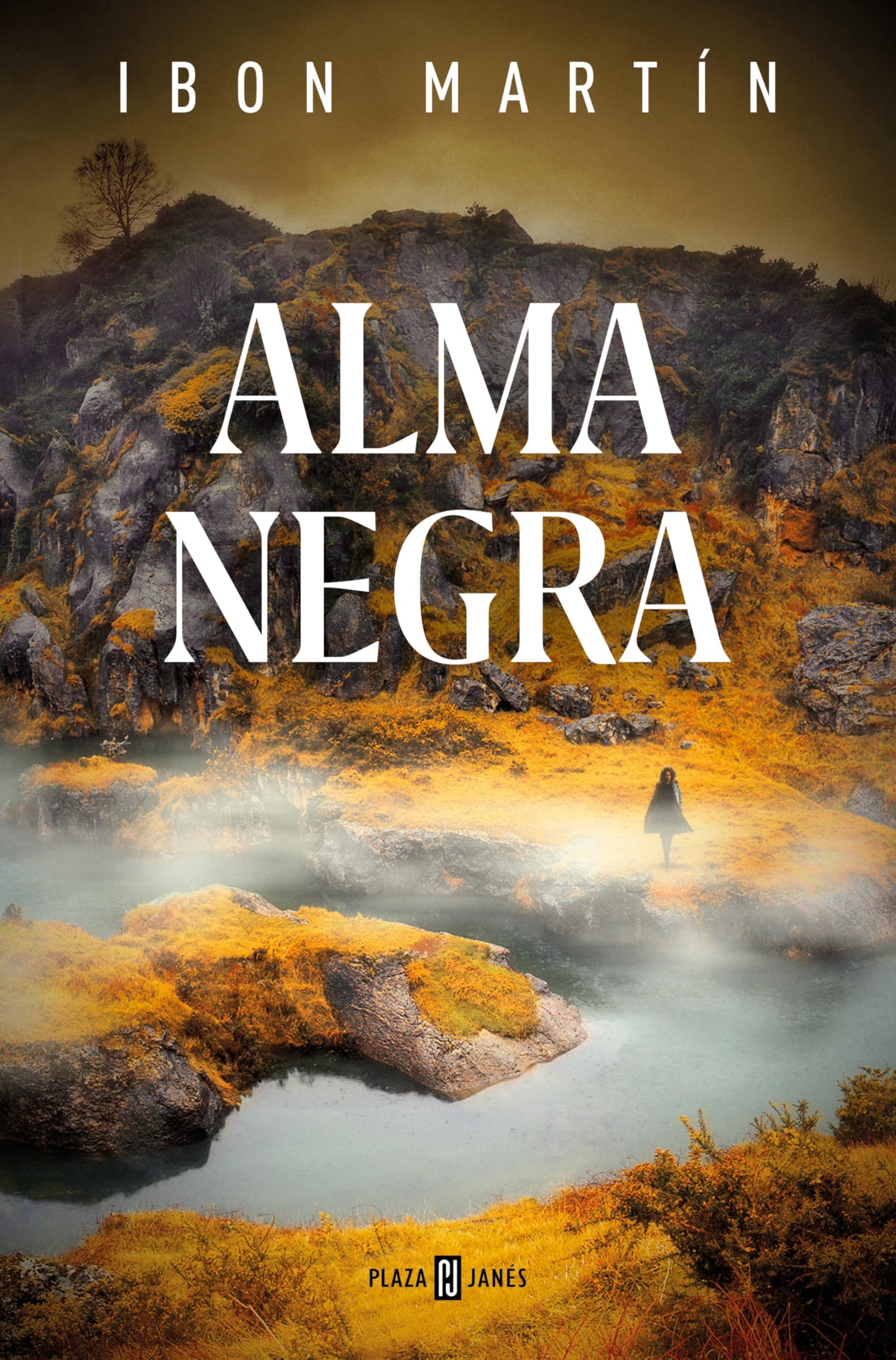 Alma negra (Inspectora Ane Cestero 4) (Éxitos)