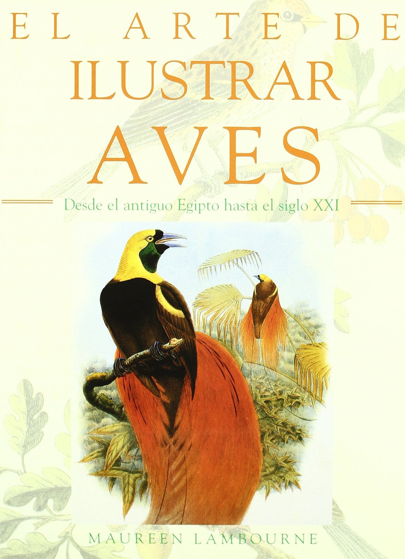 El arte de ilustrar aves