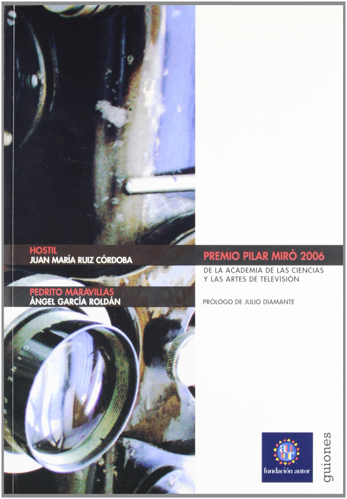 Premio Pilar Miro 2006 Hostil/Ped (GUIONES)