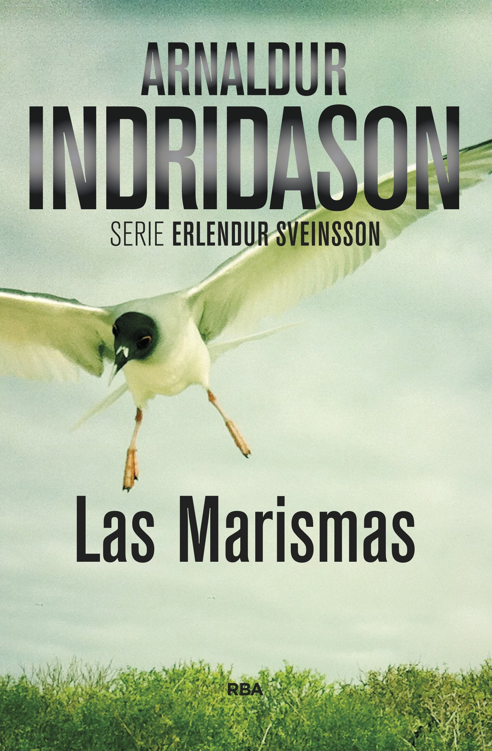 Las marismas: Serie Erlendur Sveinsson III: 3 (Serie Negra)