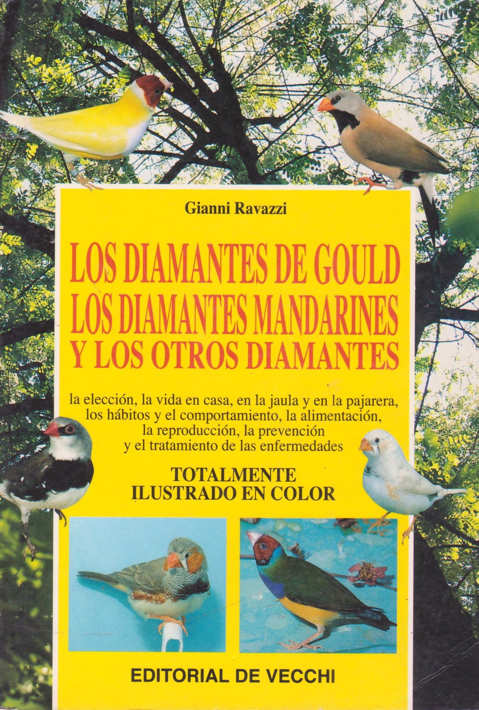 Diamantes De Gould.Diamantes Mandarines