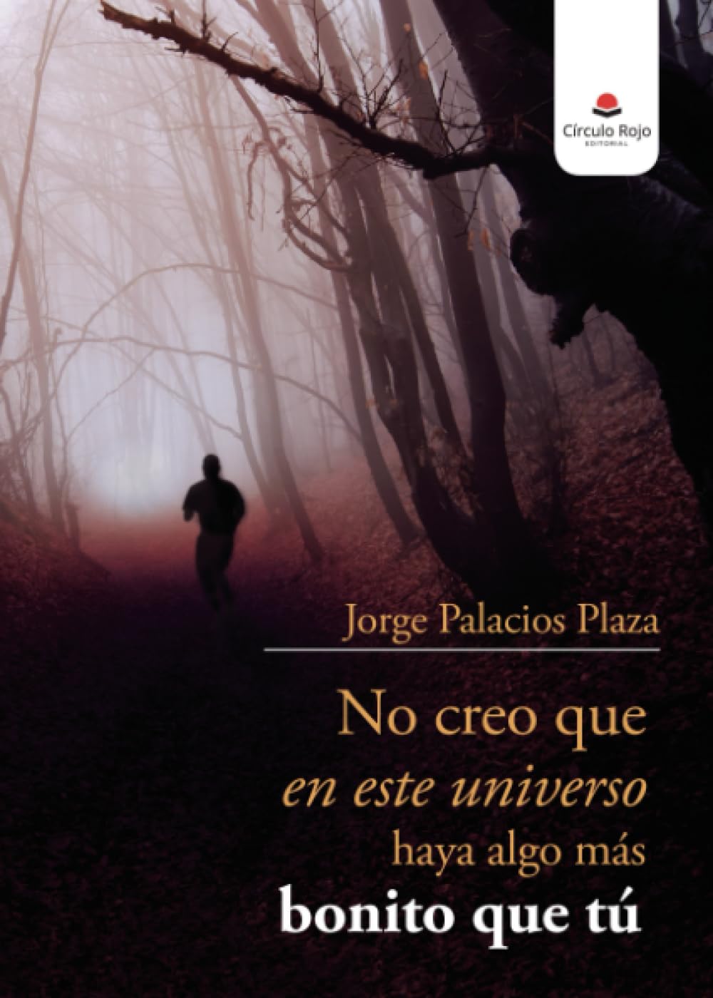 NO CREO QUE EN ESTE UNIVERSO HAYA ALGO MÁS BONITO QUE TÚ (NOVELA)