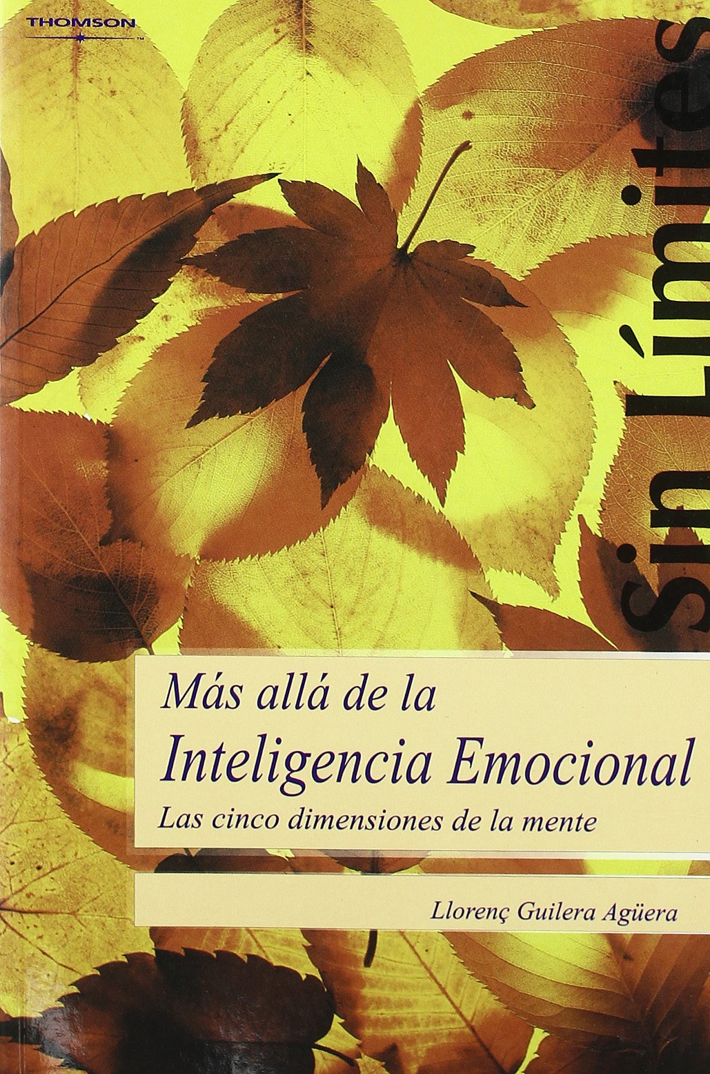 Más allá de la inteligencia emocional. Las cinco dimensiones de la mente (Psicología)