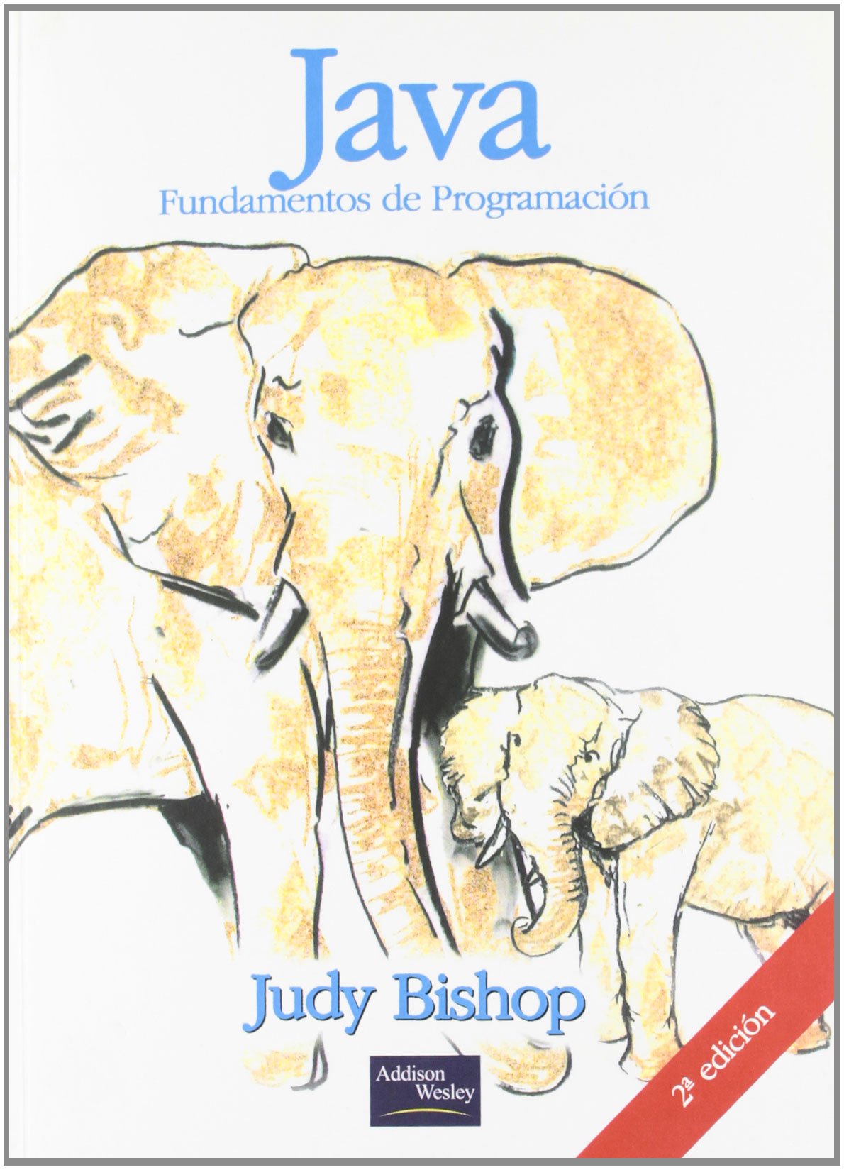 Java fundamentos de programación: Fundamentos de programación (SIN COLECCION)