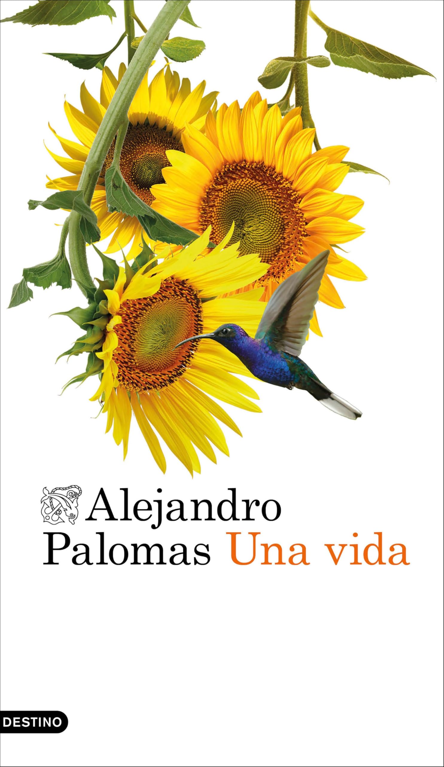 Una vida: 4 (Áncora & Delfín)
