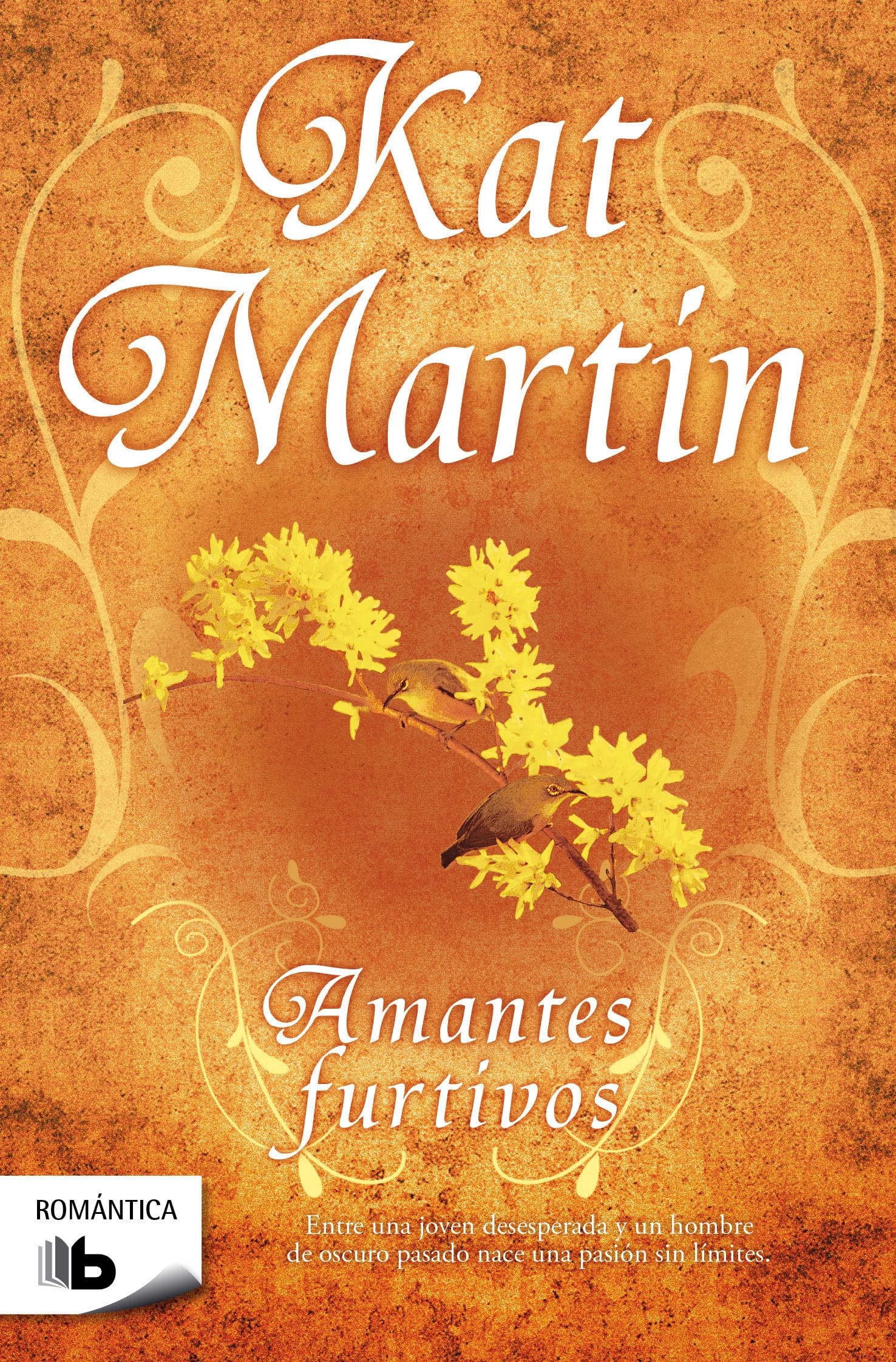 Amantes furtivos (Ficción)