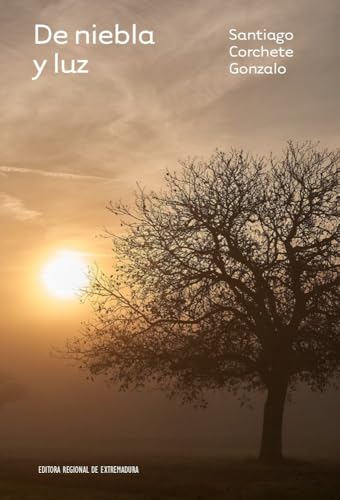 DE NIEBLA Y LUZ