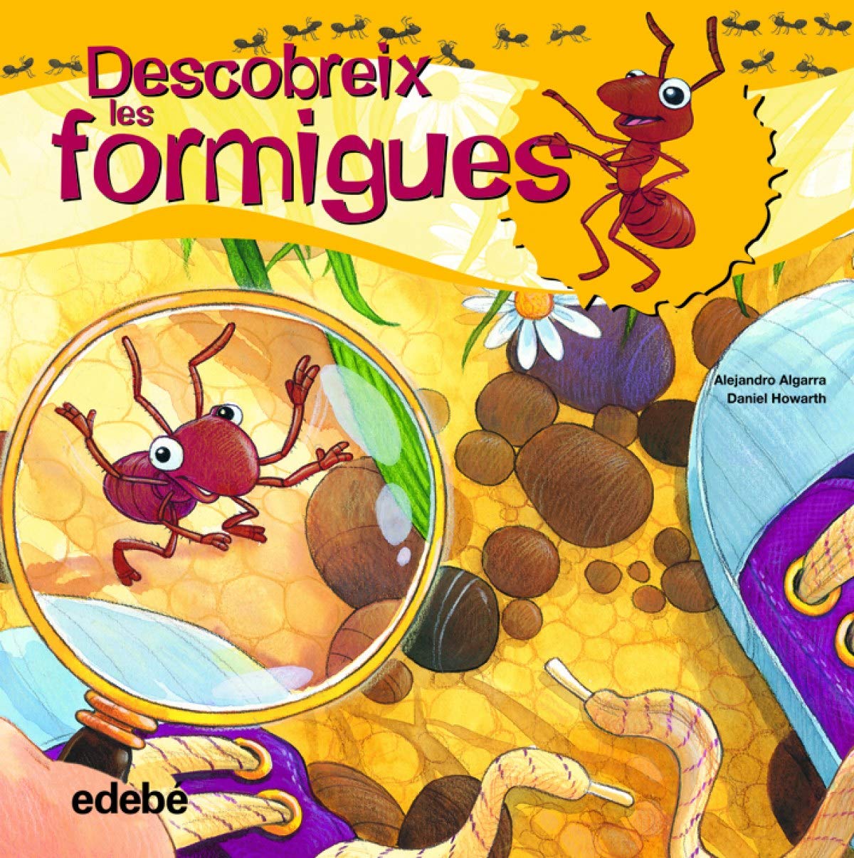 Descubreix el món de les formigues (Libros de conocimientos)