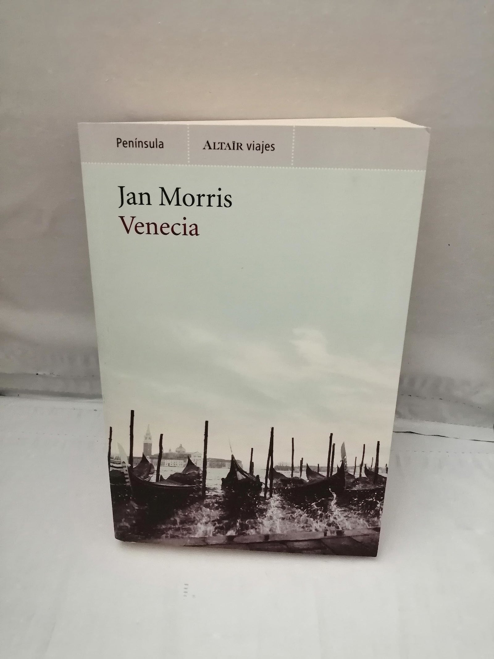 Venecia (VIAJES)