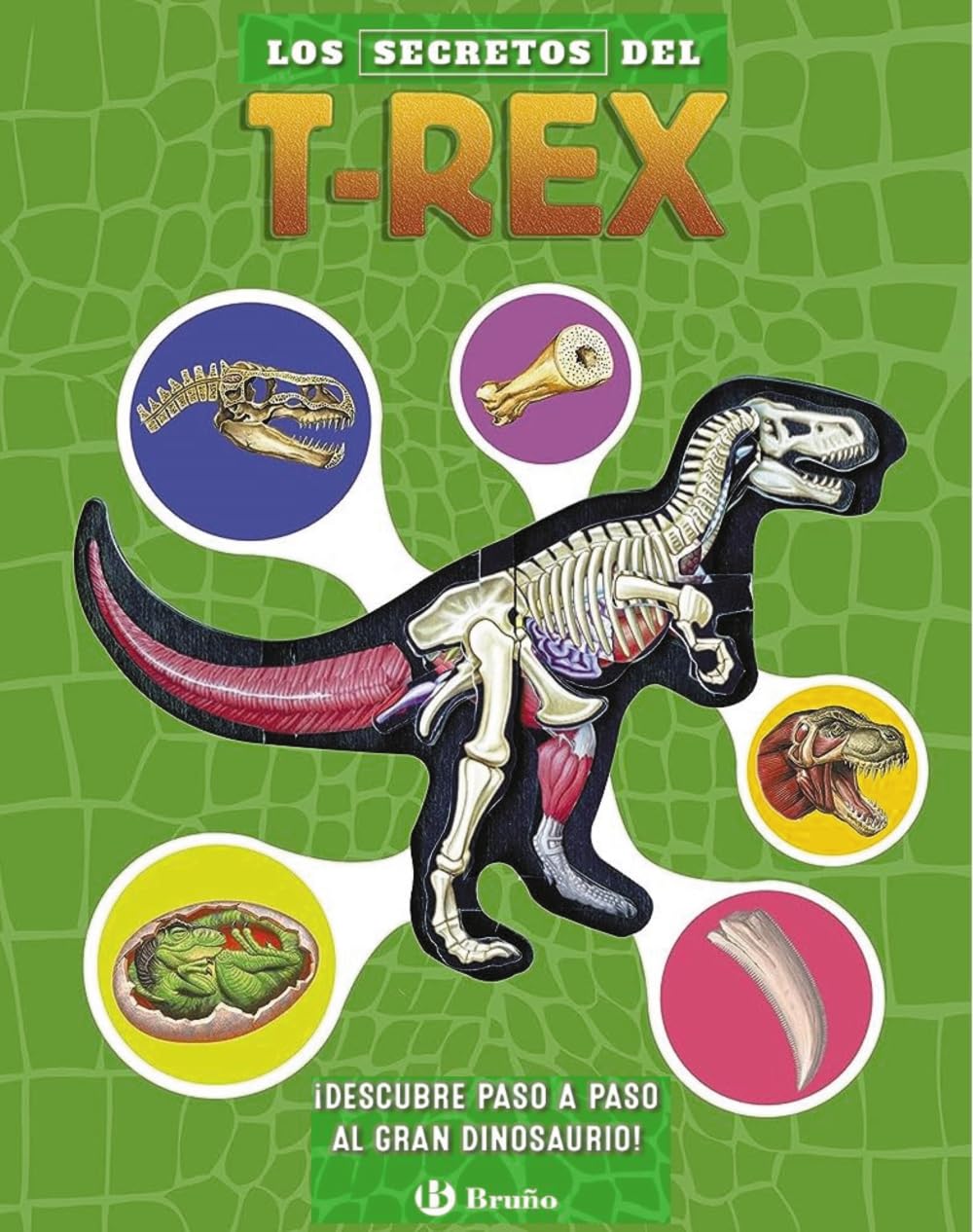 Los secretos del T. rex: ¡Descubre paso a paso al gran dinosaurio! (Castellano - A PARTIR DE 8 AÑOS - ÁLBUMES - Otros álbumes)
