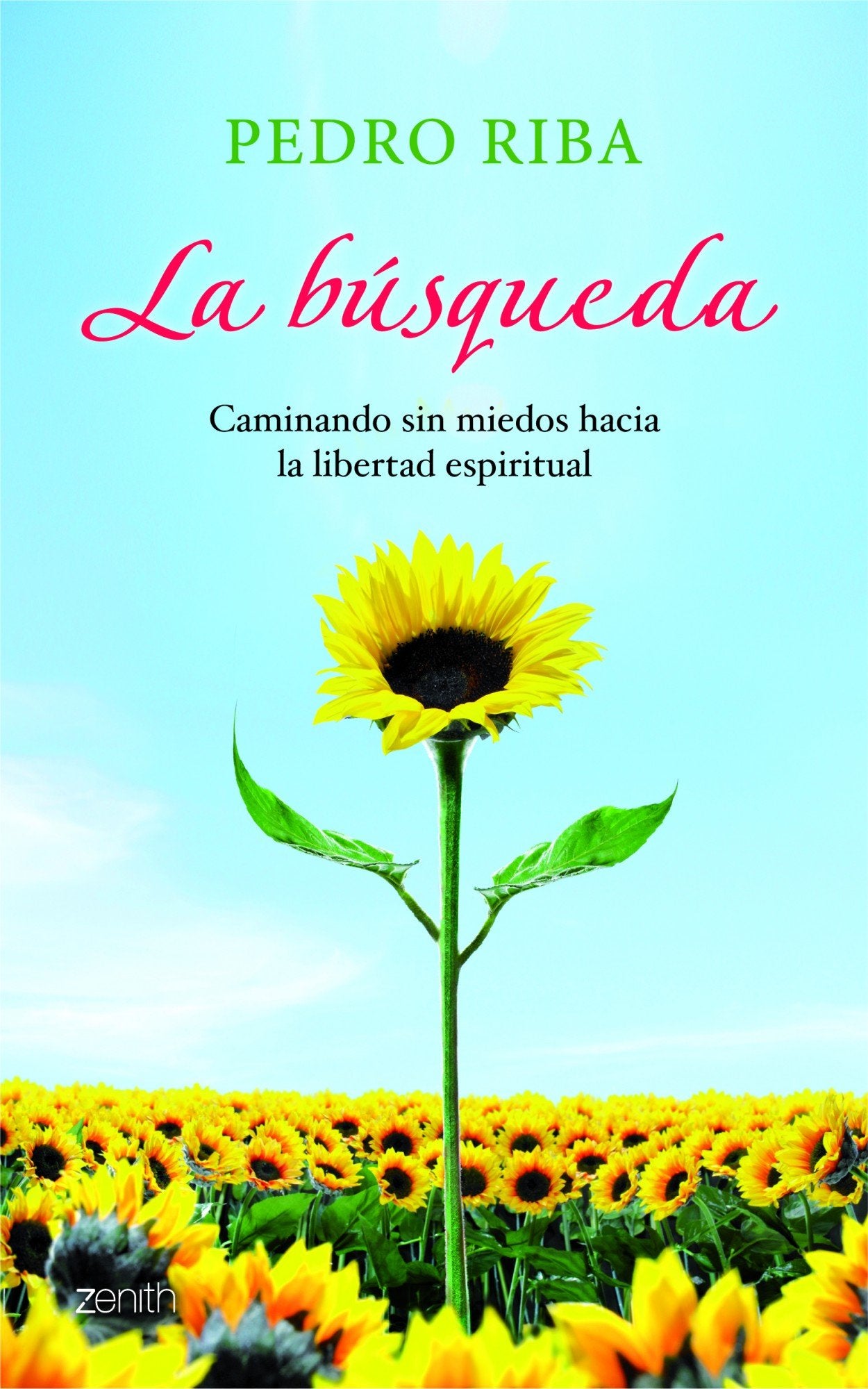 La búsqueda: Caminando sin miedos hacia la libertad espiritual: 1 (Autoayuda y superación)