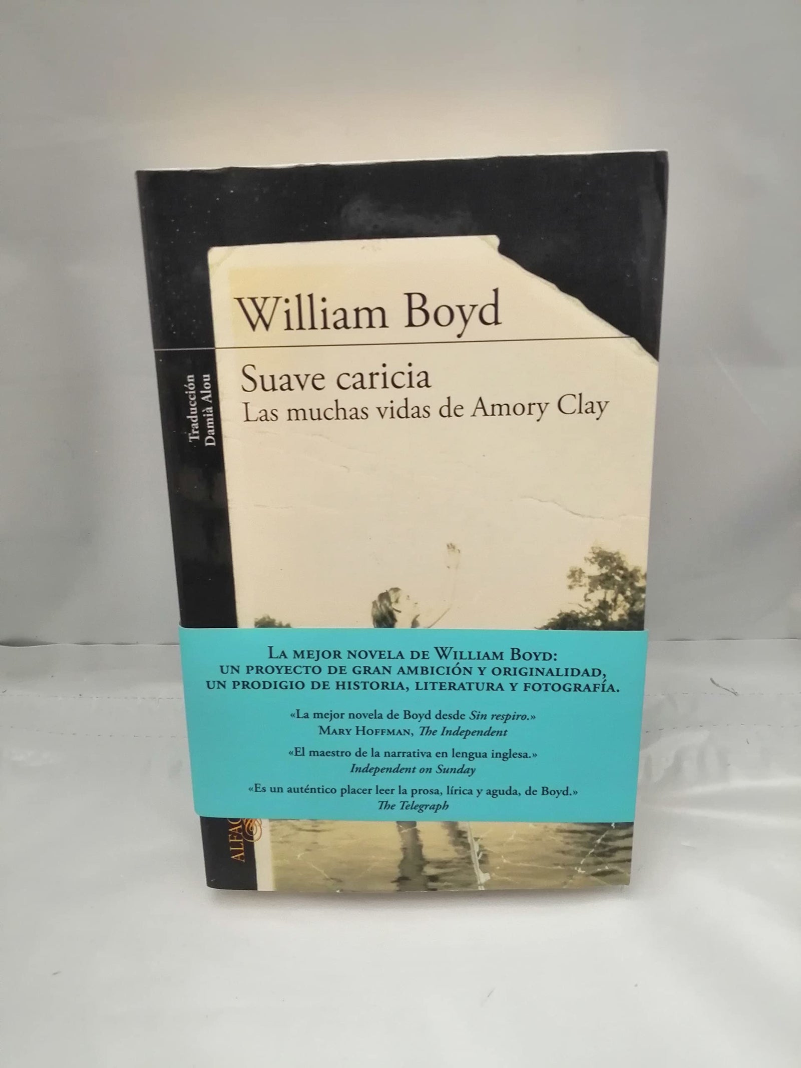 Suave caricia: Las muchas vidas de Amory Clay (Literaturas)