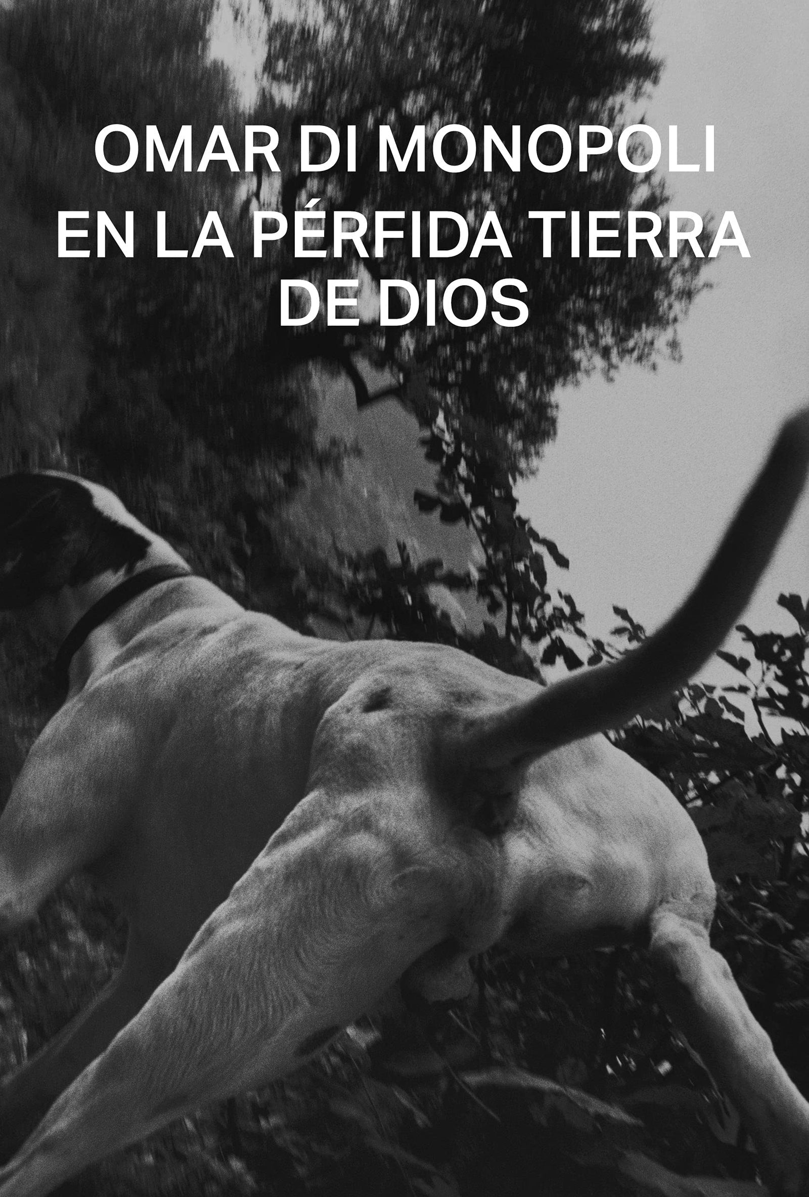 En la pérfida tierra de Dios (SIN COLECCION)