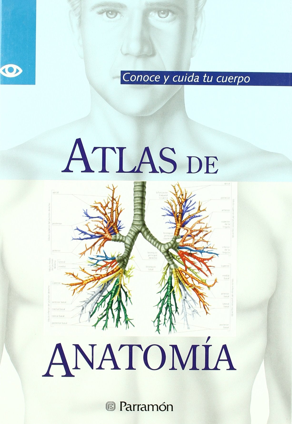 Atlas de anatomía : conoce y cuida tu cuerpo (Conoce Y Cuida Tu Cuerpo/Knowing and Caring for Your Body Series)