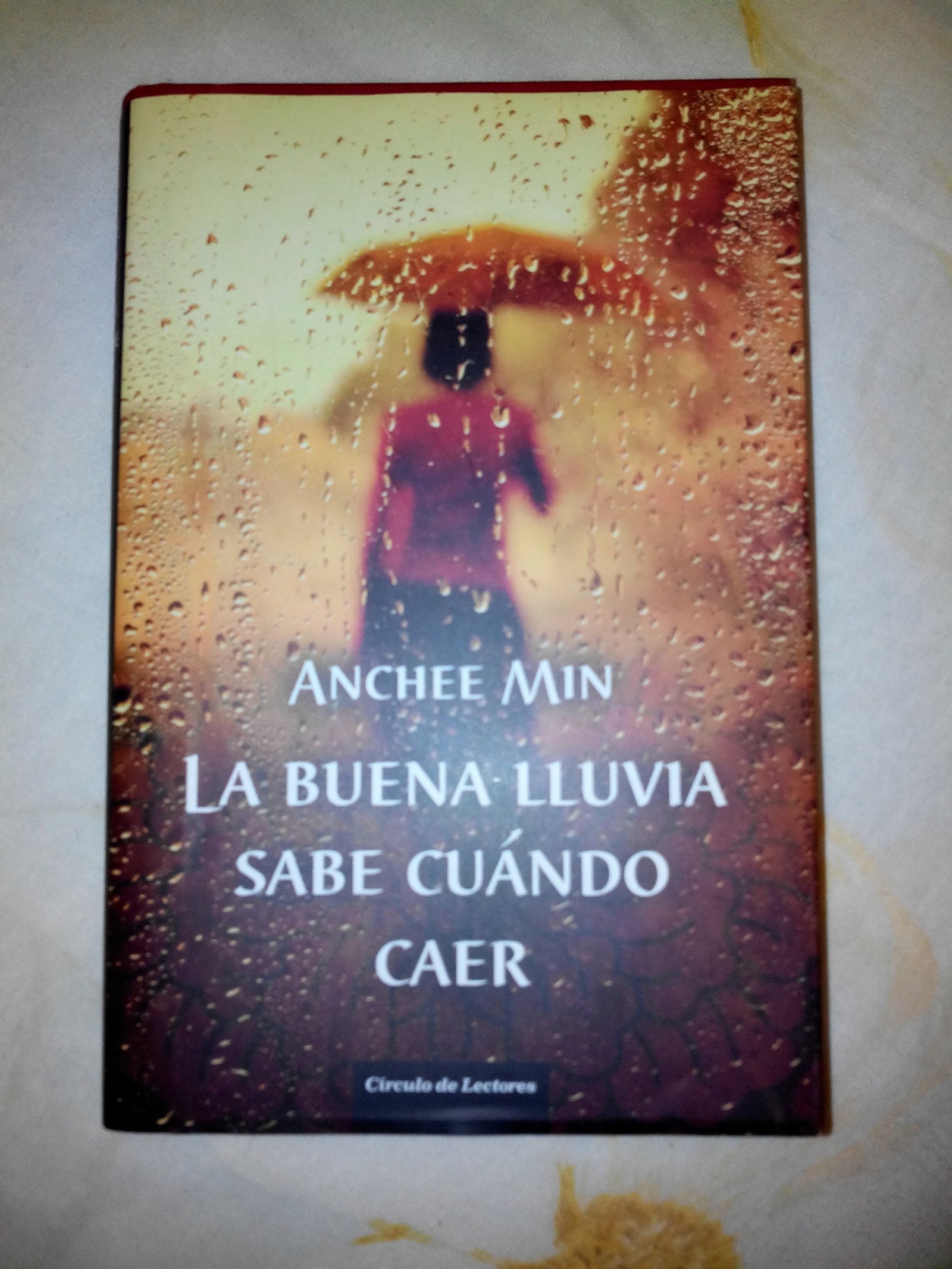La buena lluvia sabe cuándo caer