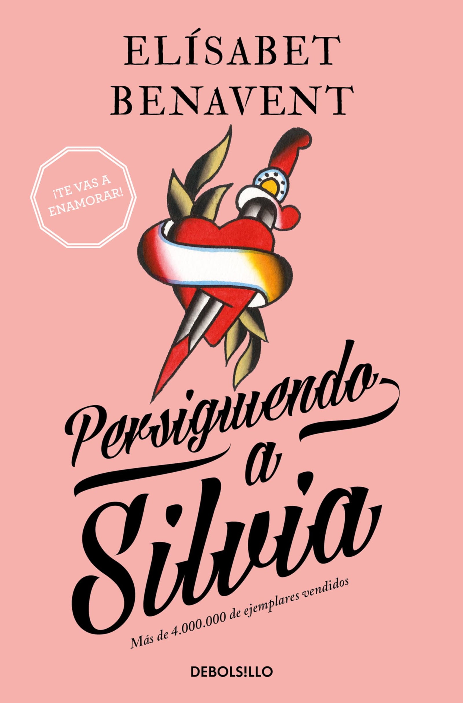 Persiguiendo a Silvia / Chasing Silvia