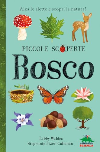 Bosco. Alza le alette e scopri la natura! Ediz. illustrata (Piccole scoperte)