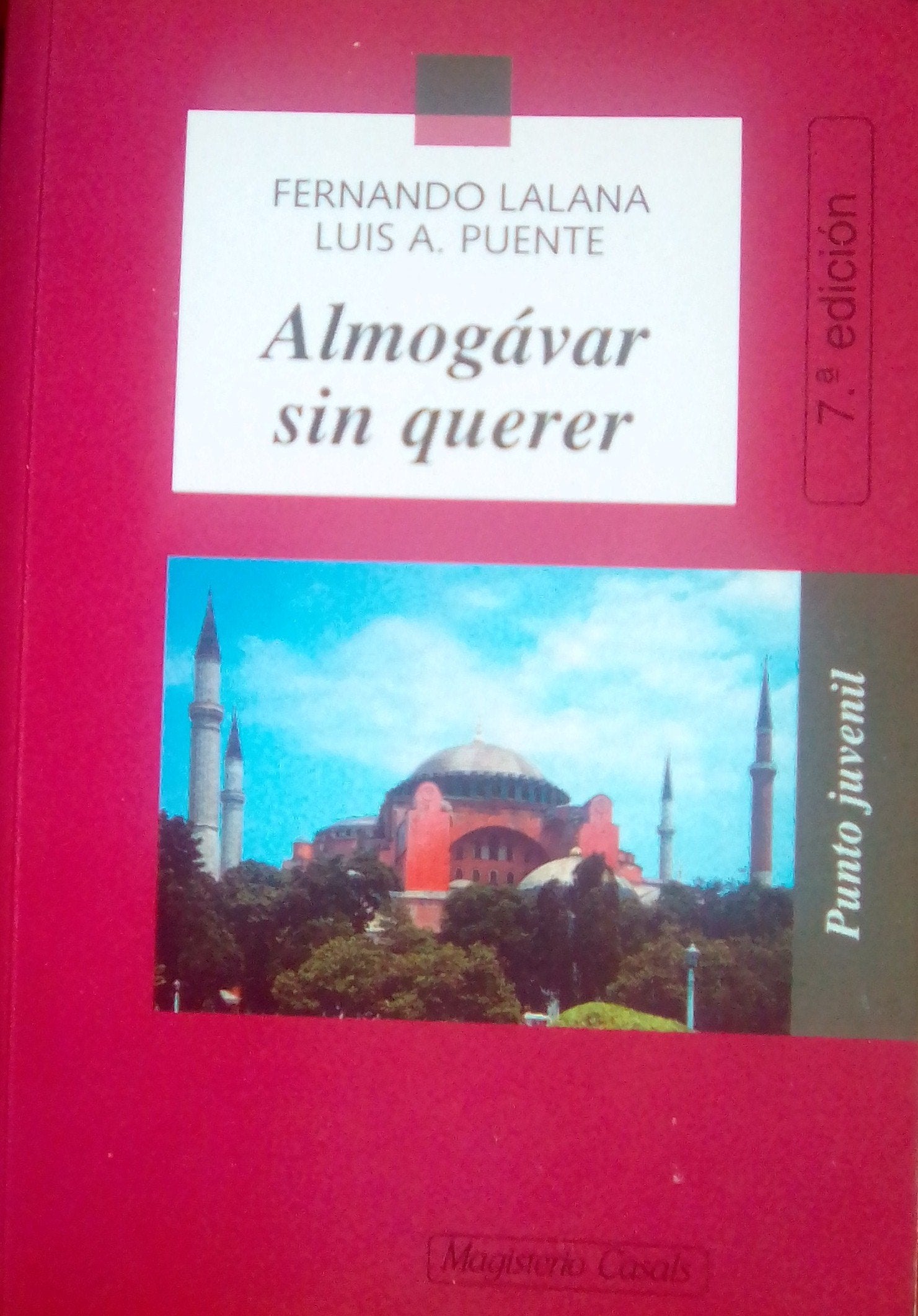 ALMOGAVAR SIN QUERER (SIN COLECCION)