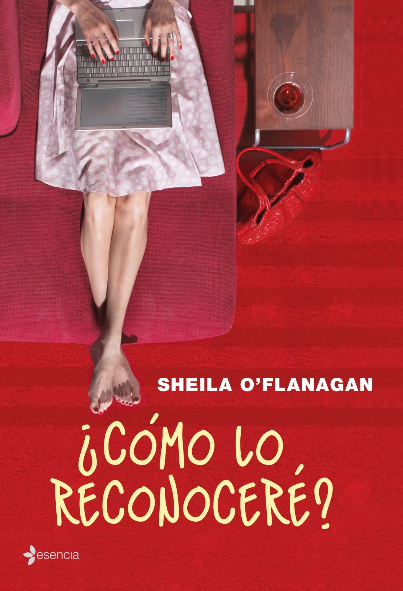 ¿Cómo lo reconoceré? (Chick Lit)