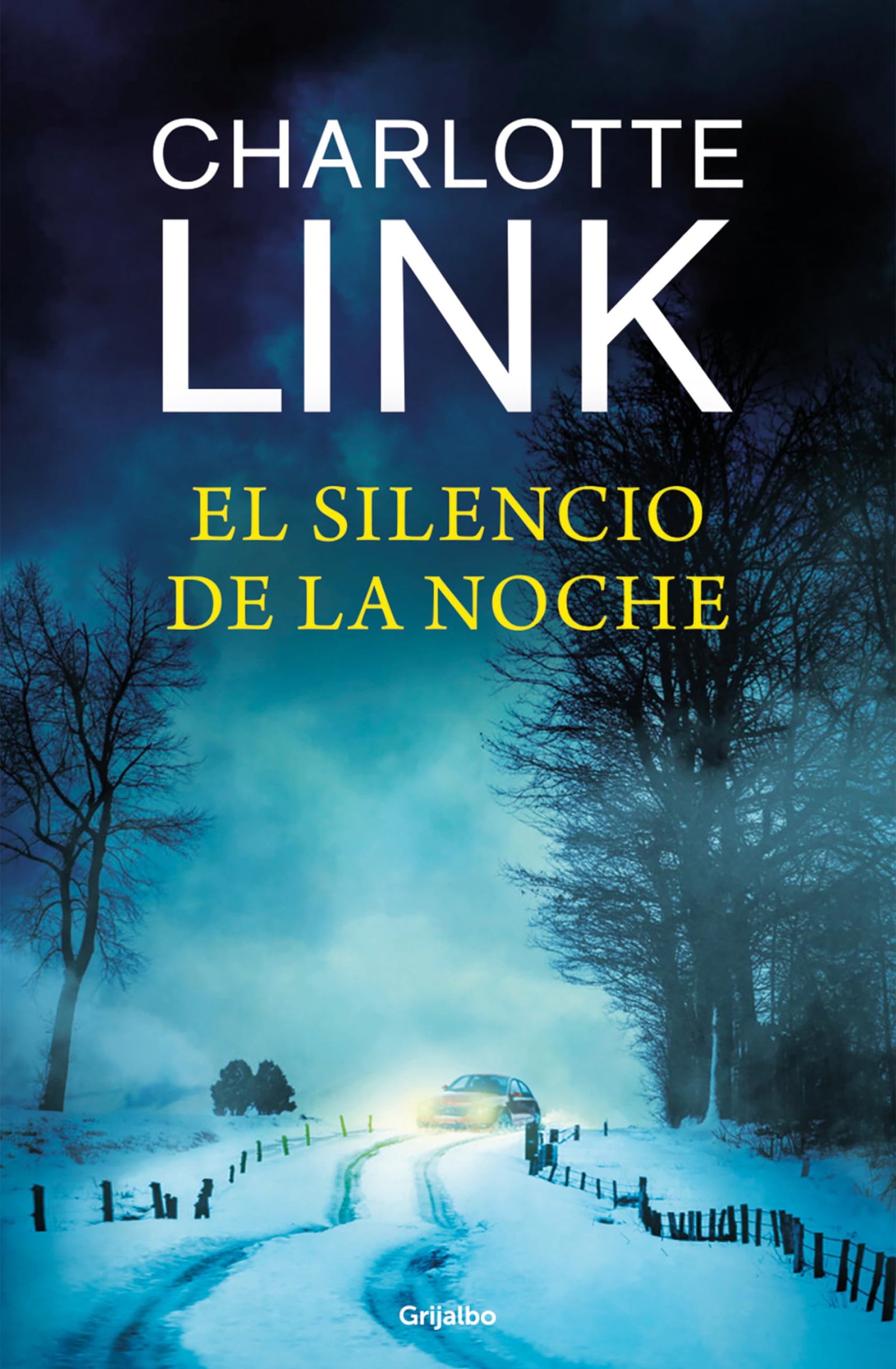 El silencio de la noche (Kate Linville & Caleb Hale 4) (Novela de intriga)