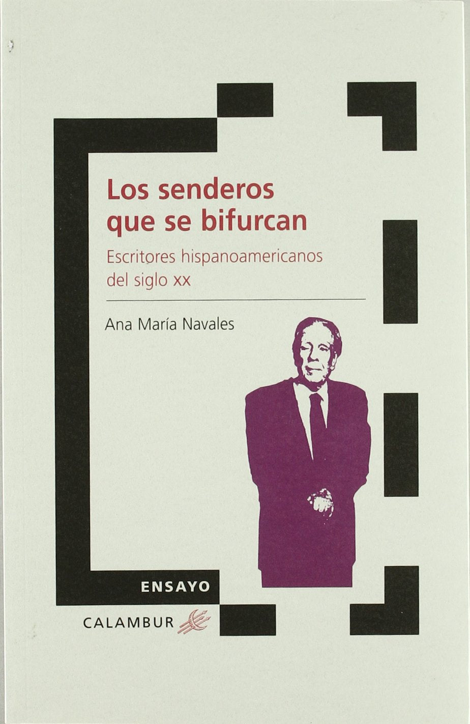 Los senderos que se bifurcan: Escritores hispanoamericanos del siglo XX (Ensayo)