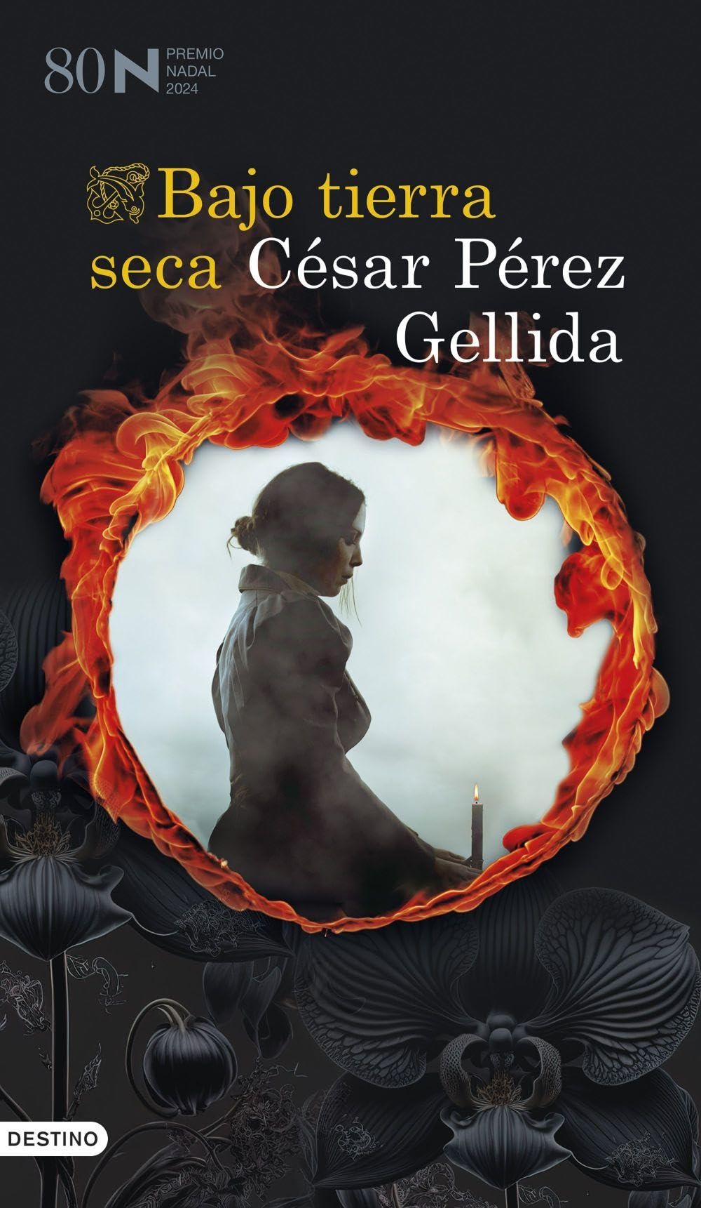 Bajo tierra seca: Premio Nadal 2024: 1 (Áncora & Delfín)