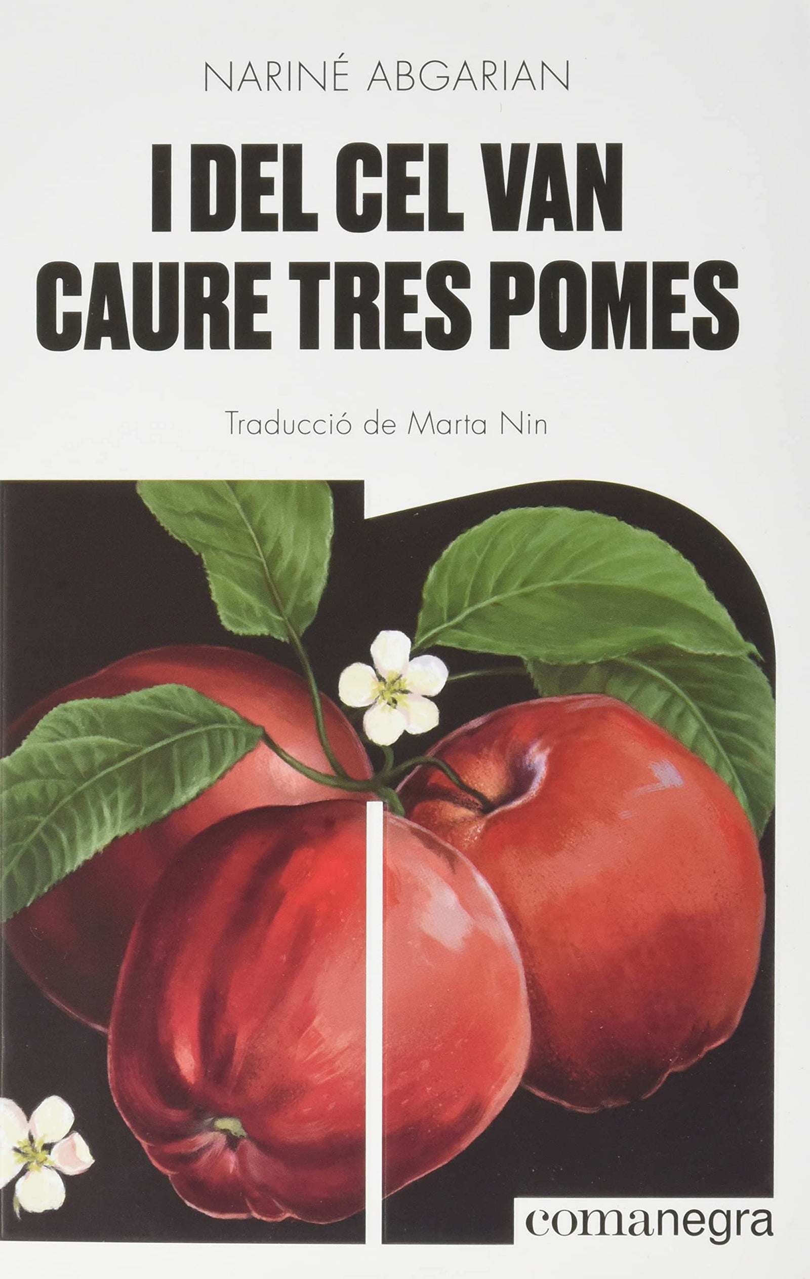 I del cel van caure tres pomes: 9 (Narratives)
