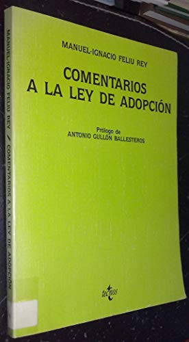 Comentarios a la ley de adopcion