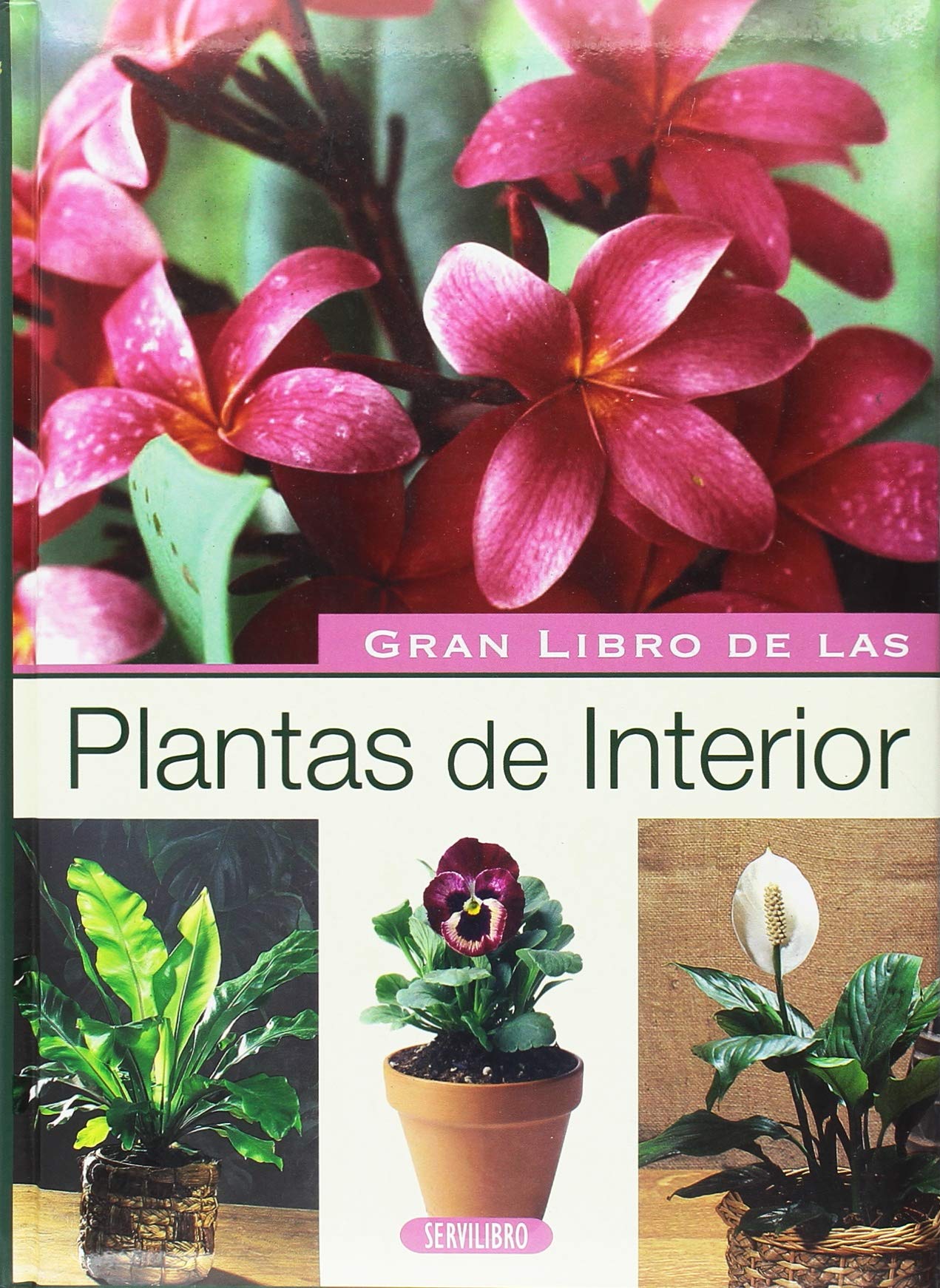 Plantas de Interior