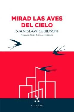 MIRAD LAS AVES DEL CIELO (VOLCANO)