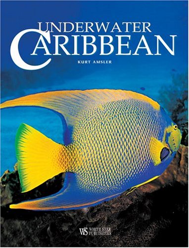 Underwater Caribbean. Ediz. illustrata (I segreti del mare)