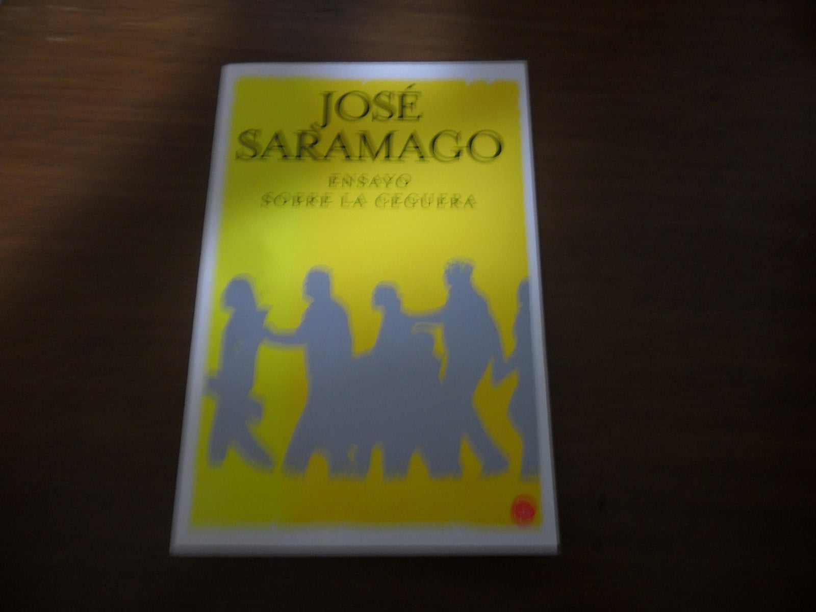 Ensayo sobre la ceguera (FORMATO GRANDE)