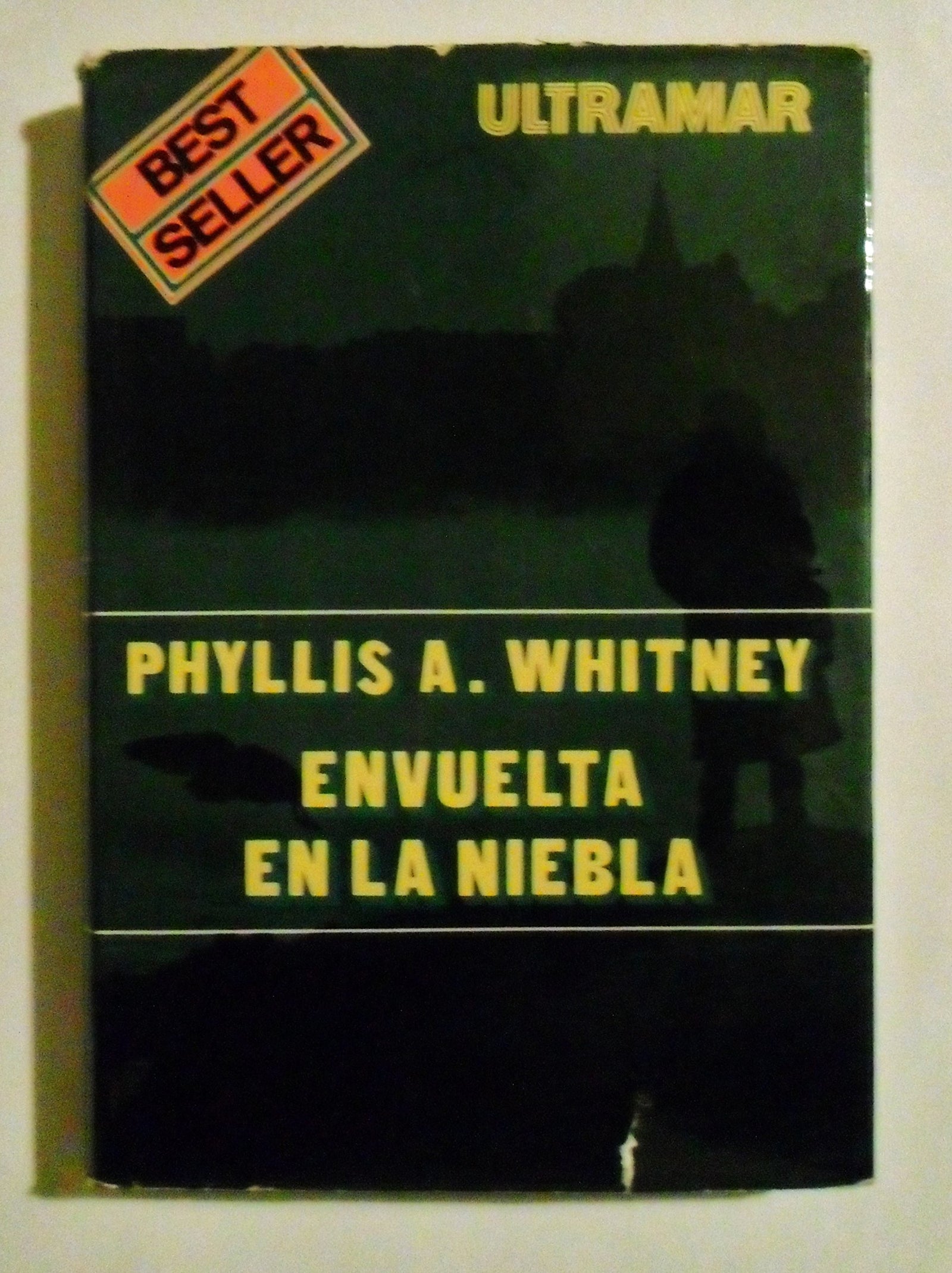 Envuelta en la niebla