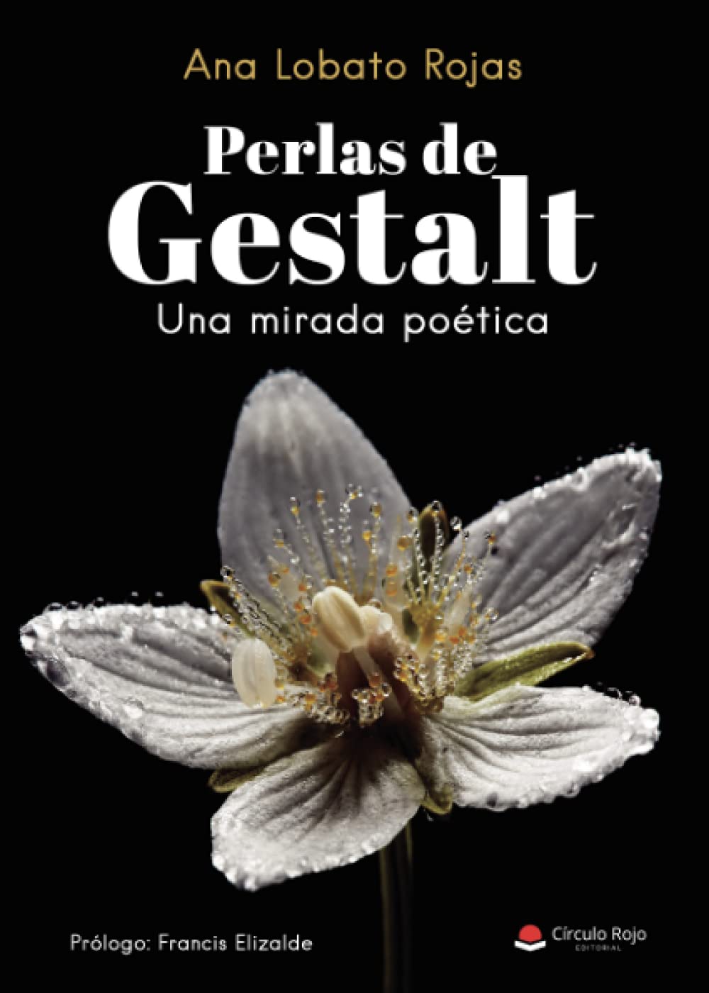 Perlas de Gestalt: Una mirada poética
