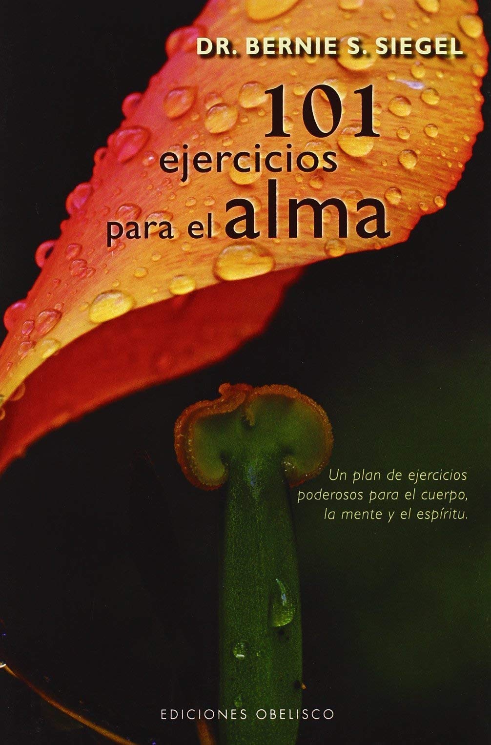 101 Ejercicios para el alma (NUEVA CONSCIENCIA)